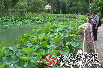 5-130FQ4123B29.jpg
