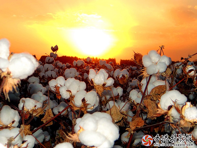 DSC01854_副本.jpg
