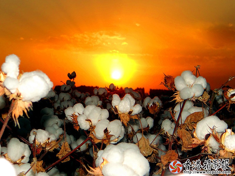 DSC01856_副本.jpg