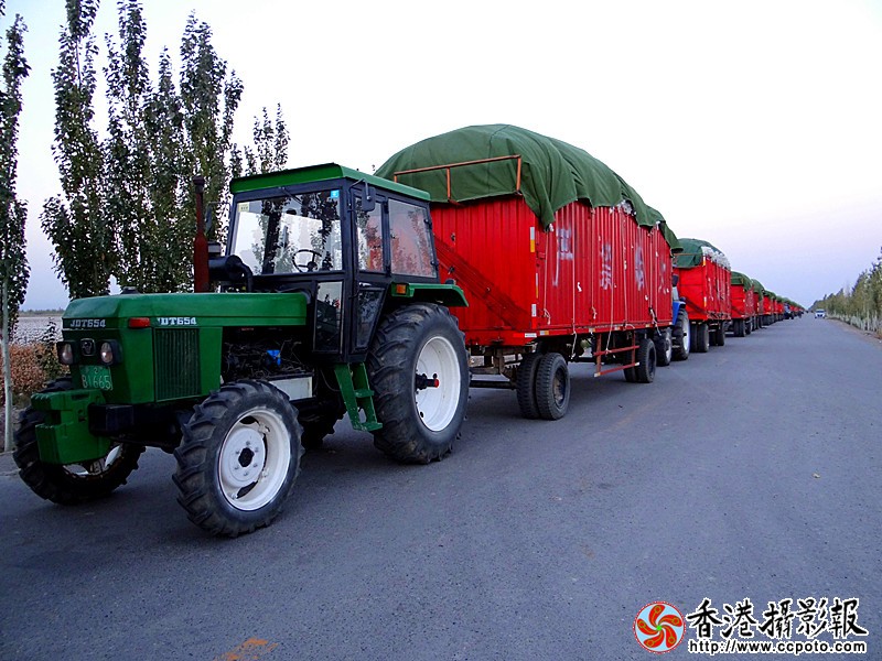 DSC01908_副本.jpg
