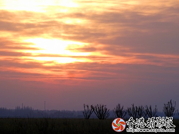 DSC00629__600.jpg