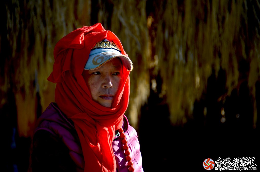 DSC_2970zzm.jpg