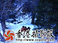 冰雪驼铃_副本.jpg