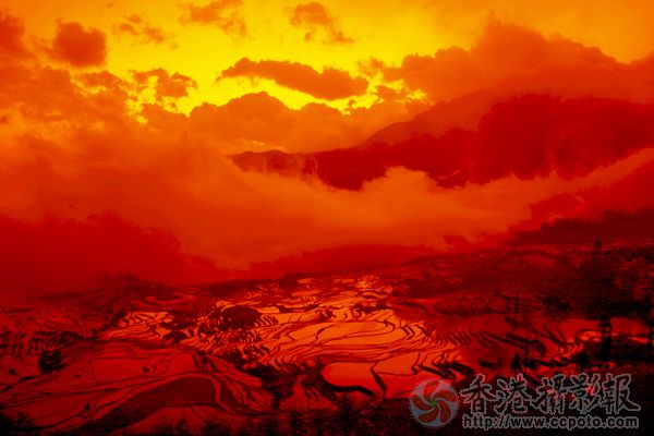 20120217_4830c67e21b5ffb5ec18M1LfnMKbOCOC.jpg