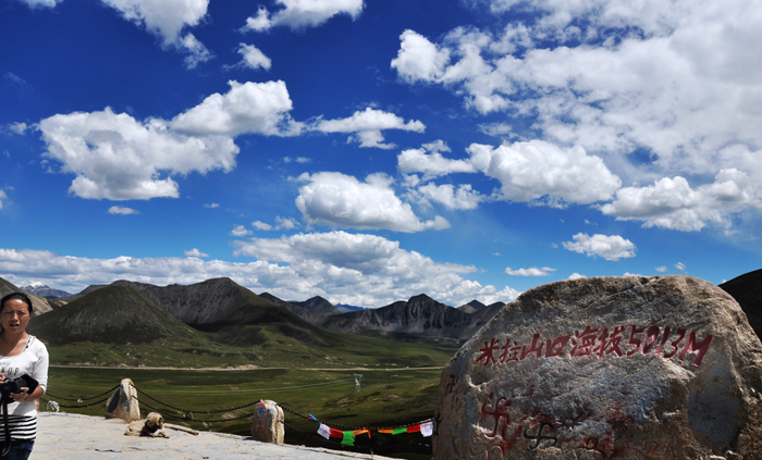 DSC_0114.jpg