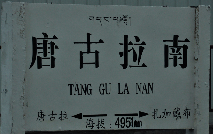 神奇向往的天路，天堂—西藏：草原牧群 昆仑雪山 唐古拉山 天水白云 (10).jpg