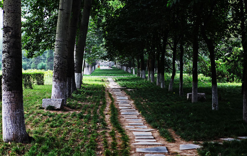 林间小路.jpg