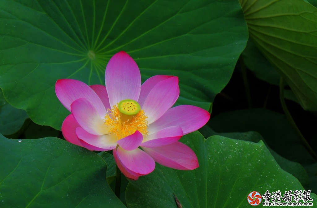 DSC03255小.jpg