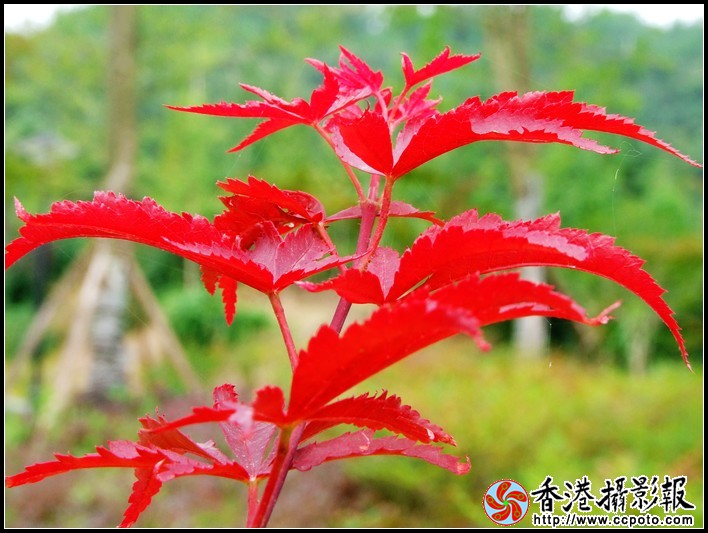 DSCF6904.JPG