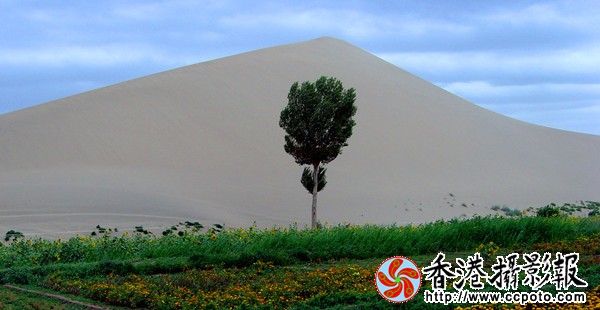 沙山壁画_副本.jpg