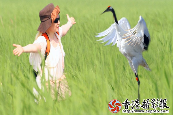 复件 IMG_9177011.jpg