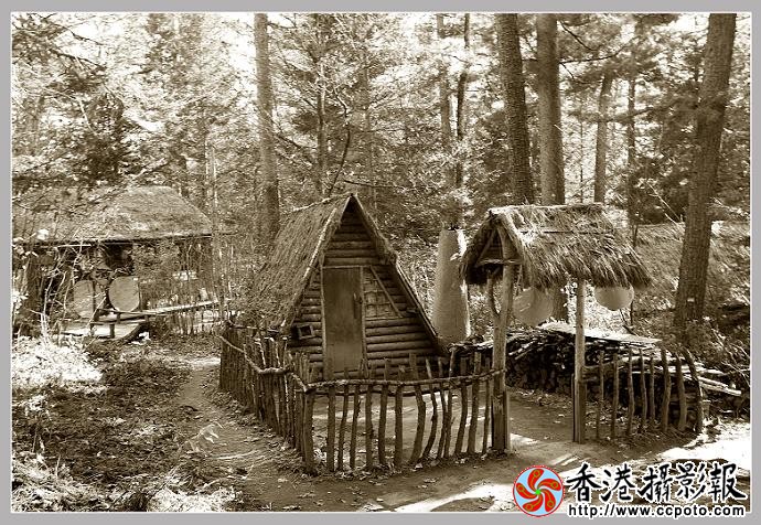 旧时山区伐木人     住的窝棚.jpg