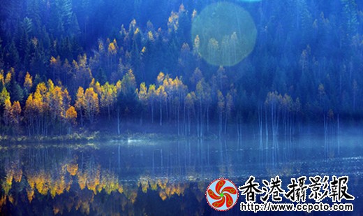 梦幻金秋.jpg