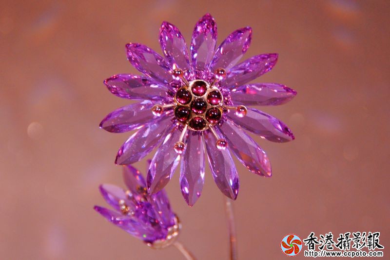 水晶花