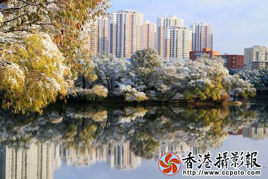 调整大小 1001.jpg