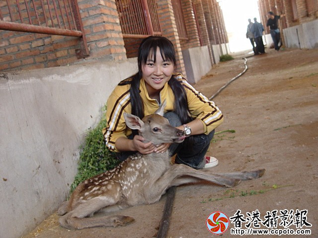 04.jpg