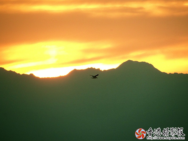 DSC05867_副本.jpg