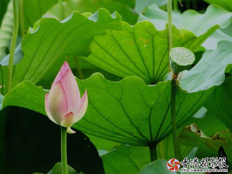 DSC03657_副本.jpg