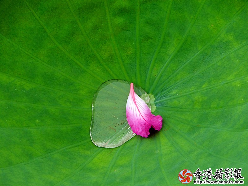 DSC03679_副本.jpg