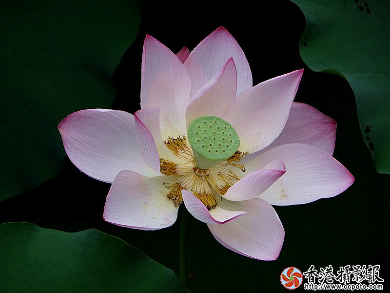 DSC03835_副本.jpg