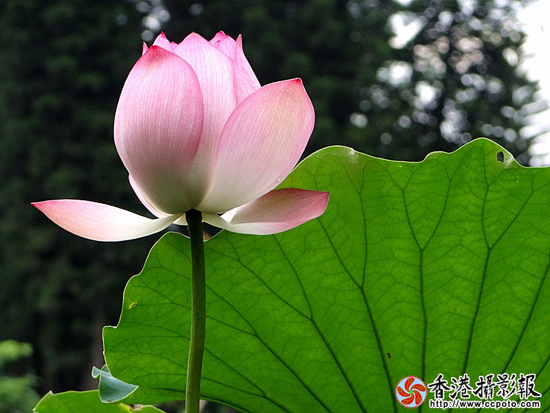 DSC03862_副本.jpg