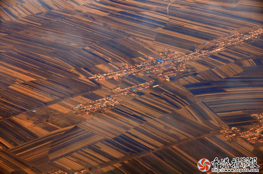 金黄的大地