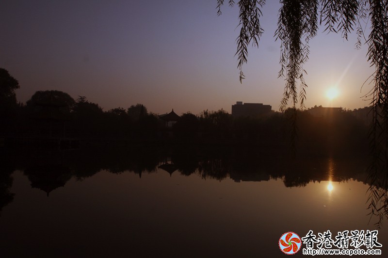 010.jpg