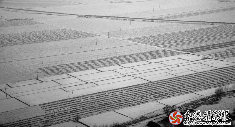 大地初雪