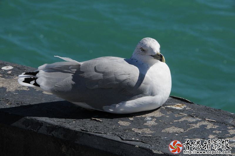 休息
