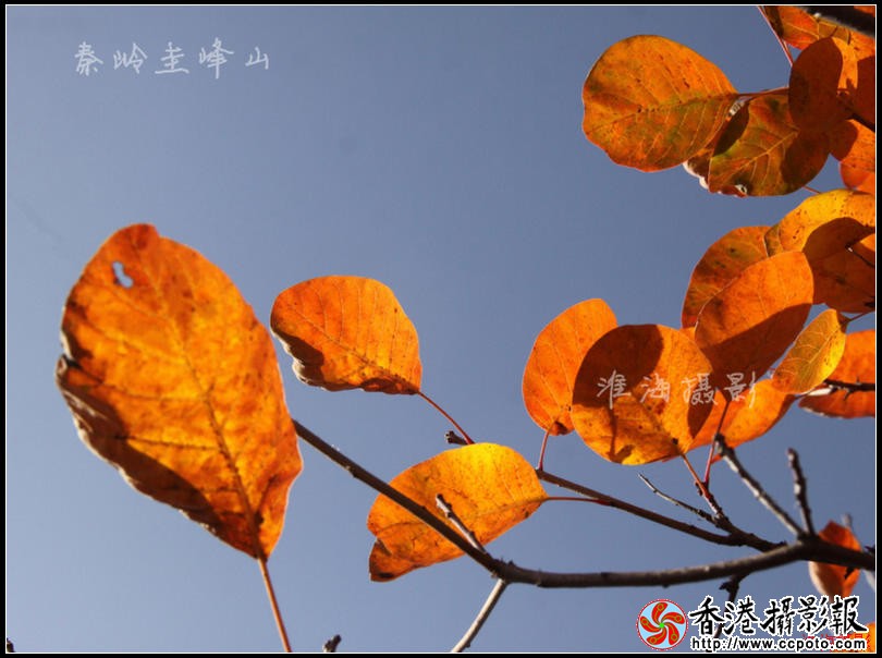 nEO_IMG_nEO_IMG_IMG_0600_副本.jpg