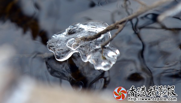 水墨冰花（２）.JPG