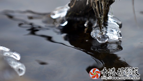 水墨冰花（５）.jpg