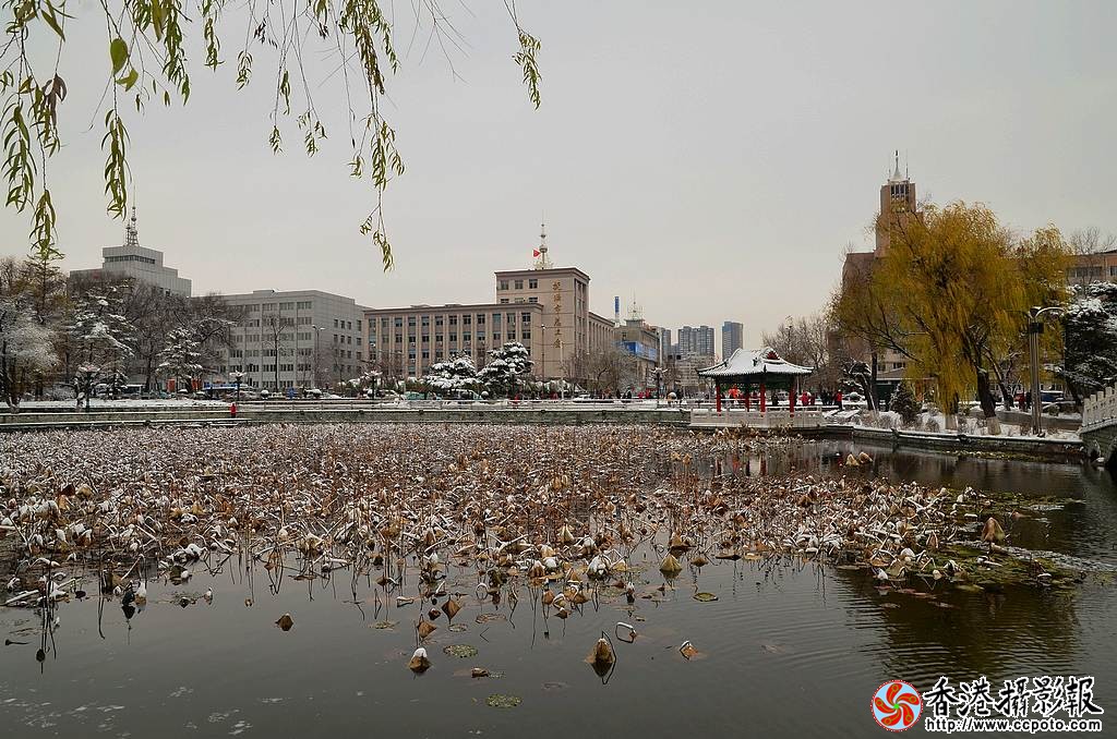 DSC_4040小片公园.jpg