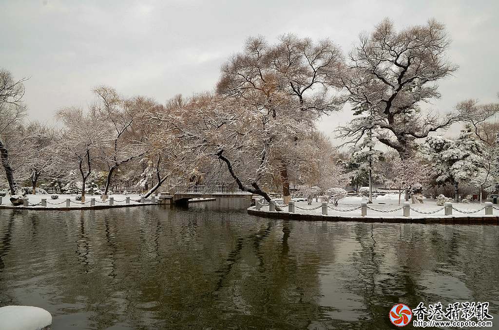 DSC_4056小片.jpg