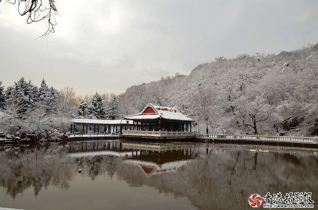 DSC_4095小片.jpg