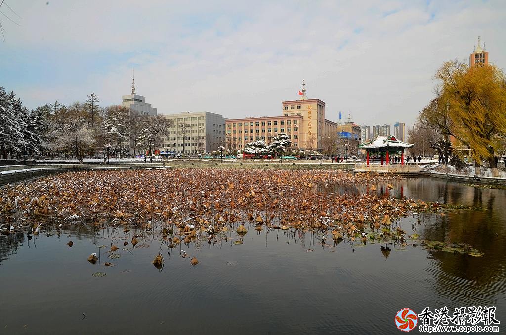 DSC_4104雪小片.jpg