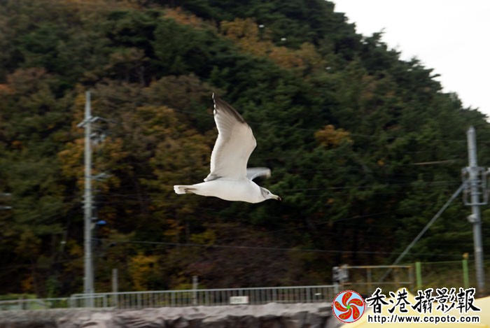 韩国农村景象12..jpg