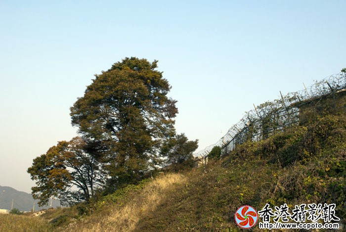 韩国：和平与战备4..jpg