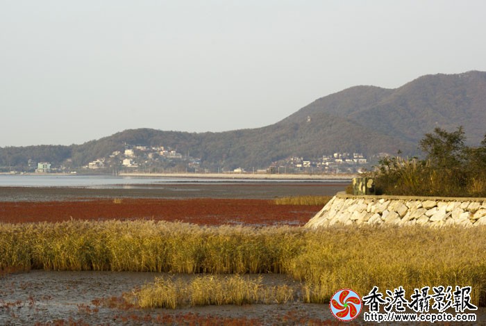 韩国：和平与战备8..jpg