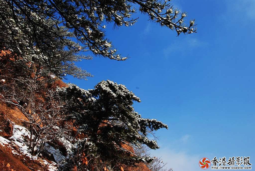 DSC_3549小片.jpg