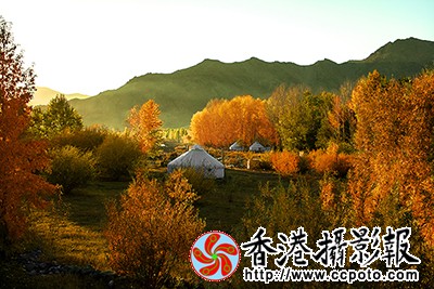 _MG_9025.jpg