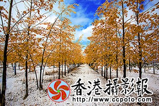 _MG_1600.jpg