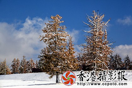 _MG_1750.jpg