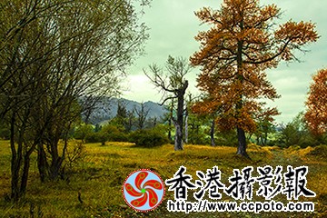 _MG_8580.jpg