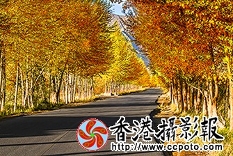 _MG_9026.jpg
