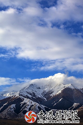 _MG_1541.jpg