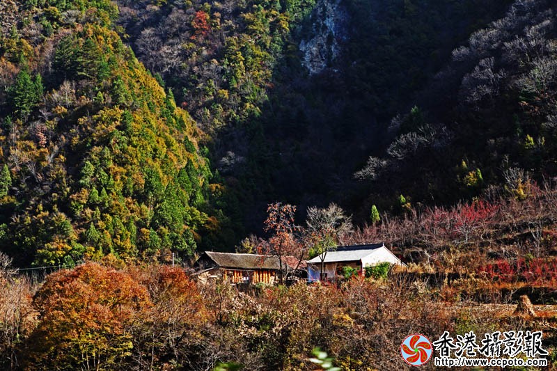 山下人家.jpg