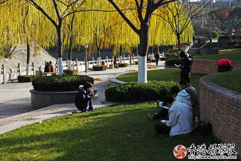 学习.jpg