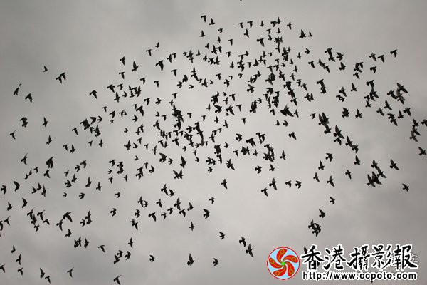 3500_586357a1219c1b3.jpg