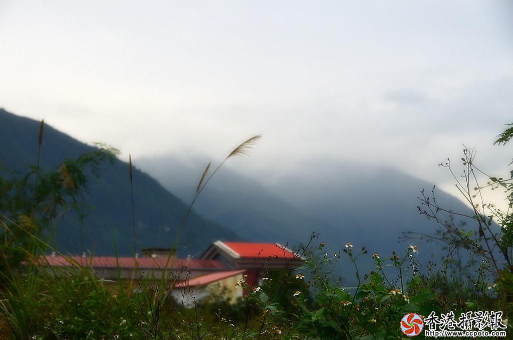 DSC_5965小片.jpg